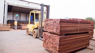 Sawmill’s output leaps forward with Wood-Mizer TITAN